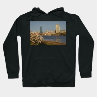 Boston Charles River on a Spring day Hoodie